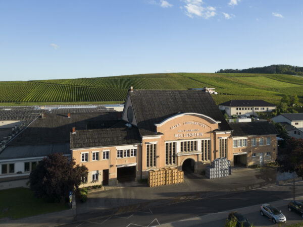 Domaines Vinsmoselle Caves de Wellenstein