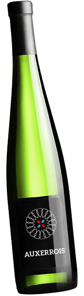 Auxerrois