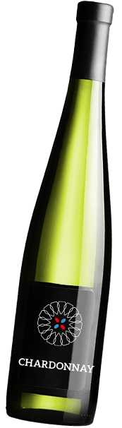 Chardonnay