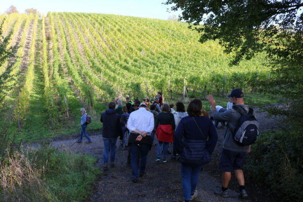 Family Estate Happy Duchy