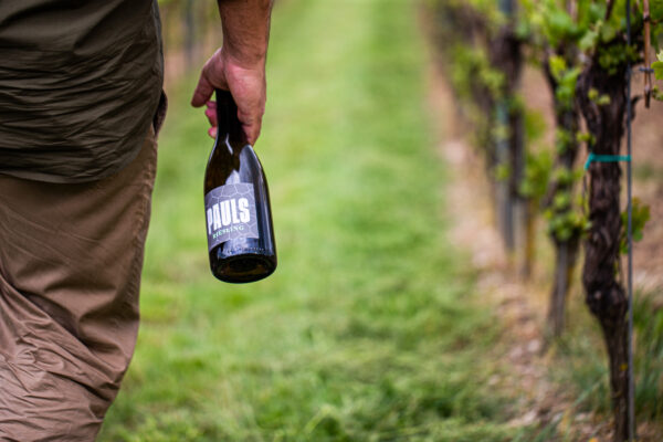 Pauls Winery